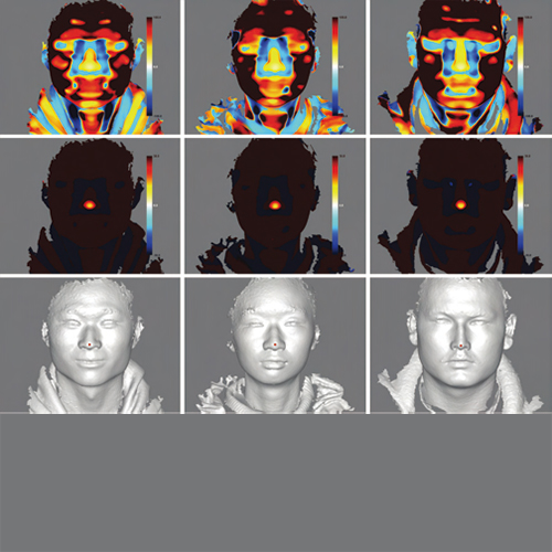 3D 人面部图像自动标志标注和稠密对应配准